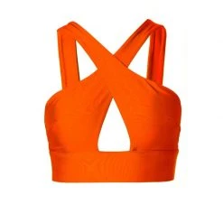 Isla Neon Orange Top By Aggi